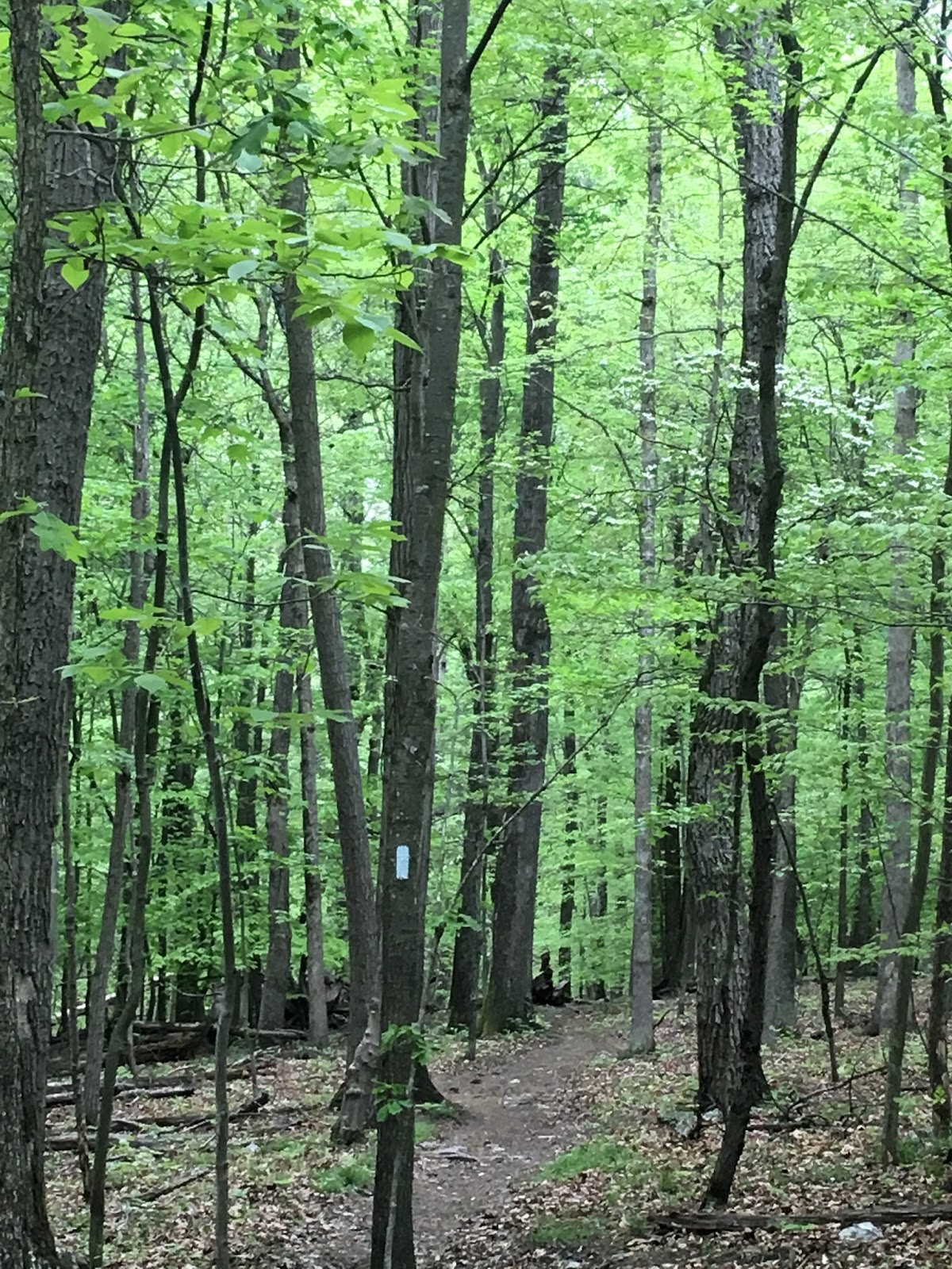 Blckdgrd Not So Much Color As The Sensation Of Color