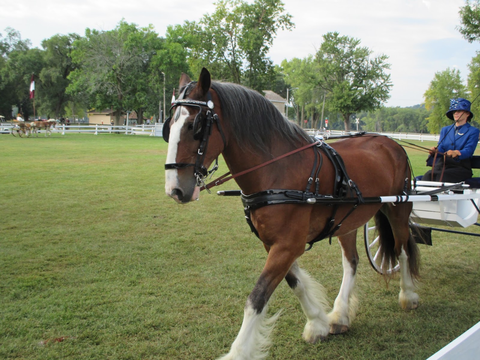 Running with Stilettos Villa Louis Carriage Classic
