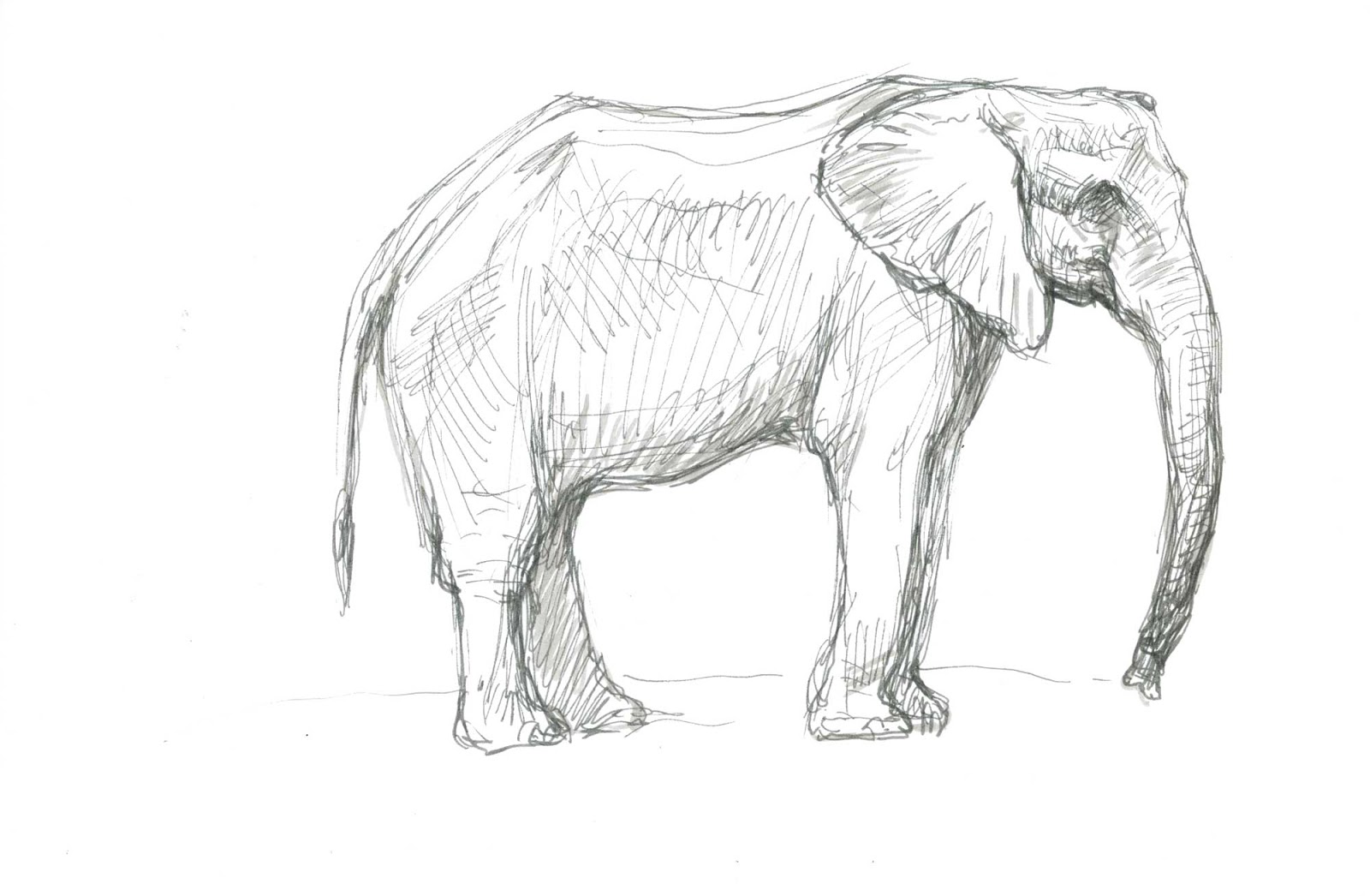 Berlin trip -mainly zoo (Tierpark) studies