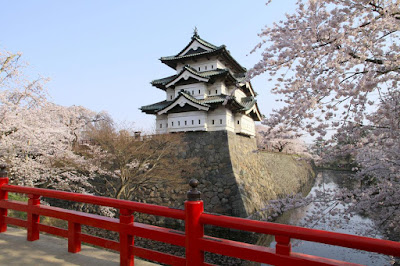 Tempat Wisata di Jepang yang Paling Pas untuk Melihat Bunga Sakura