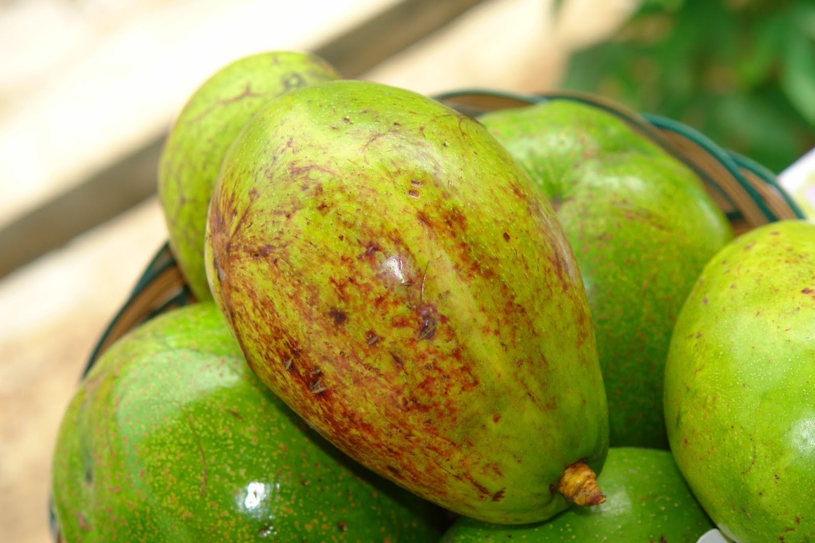 Manfaat Alpukat untuk Kecantikan Manfaat Alpukat untuk Kecantikan
