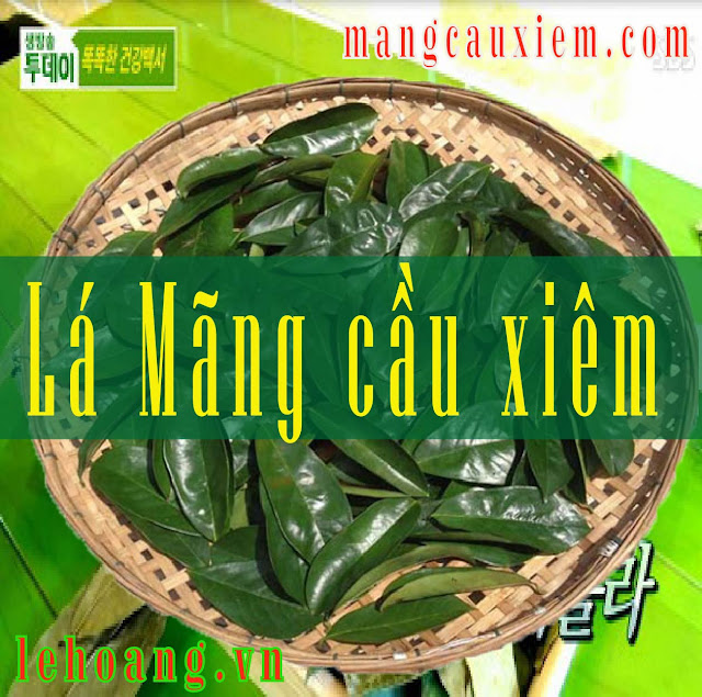 Bán Trà Mãng cầu xiêm