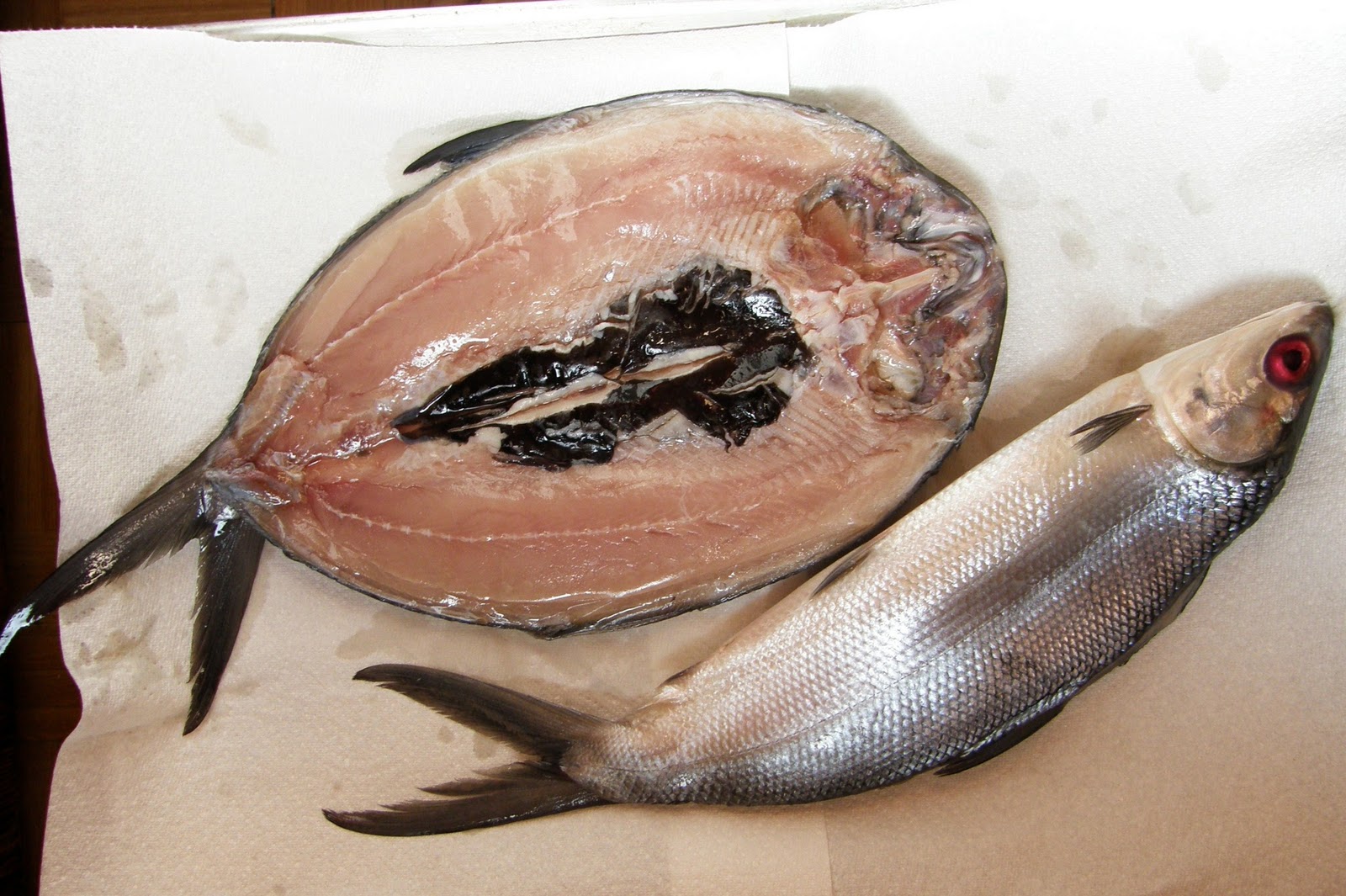 How to Remove Milkfish Bones at Home? Milkfish Supplier, Milkfish