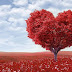 4 Rituales con Laurel para el amor