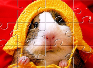 puzzles de animales
