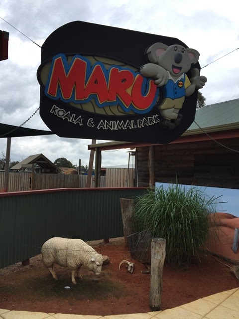 maru koala and animal park