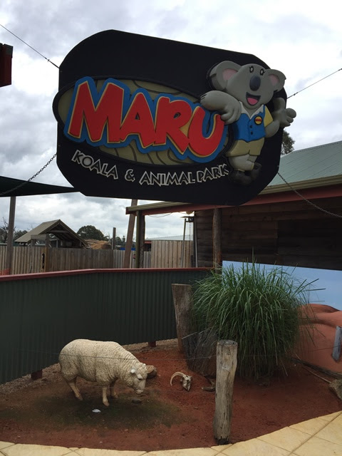 maru koala and animal park
