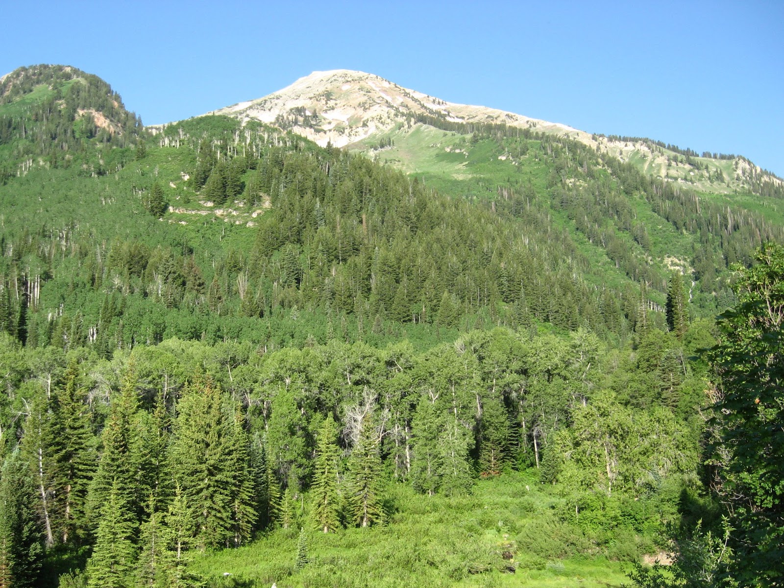 Mark's Hikes and Treks Box Elder Peak, Utah County