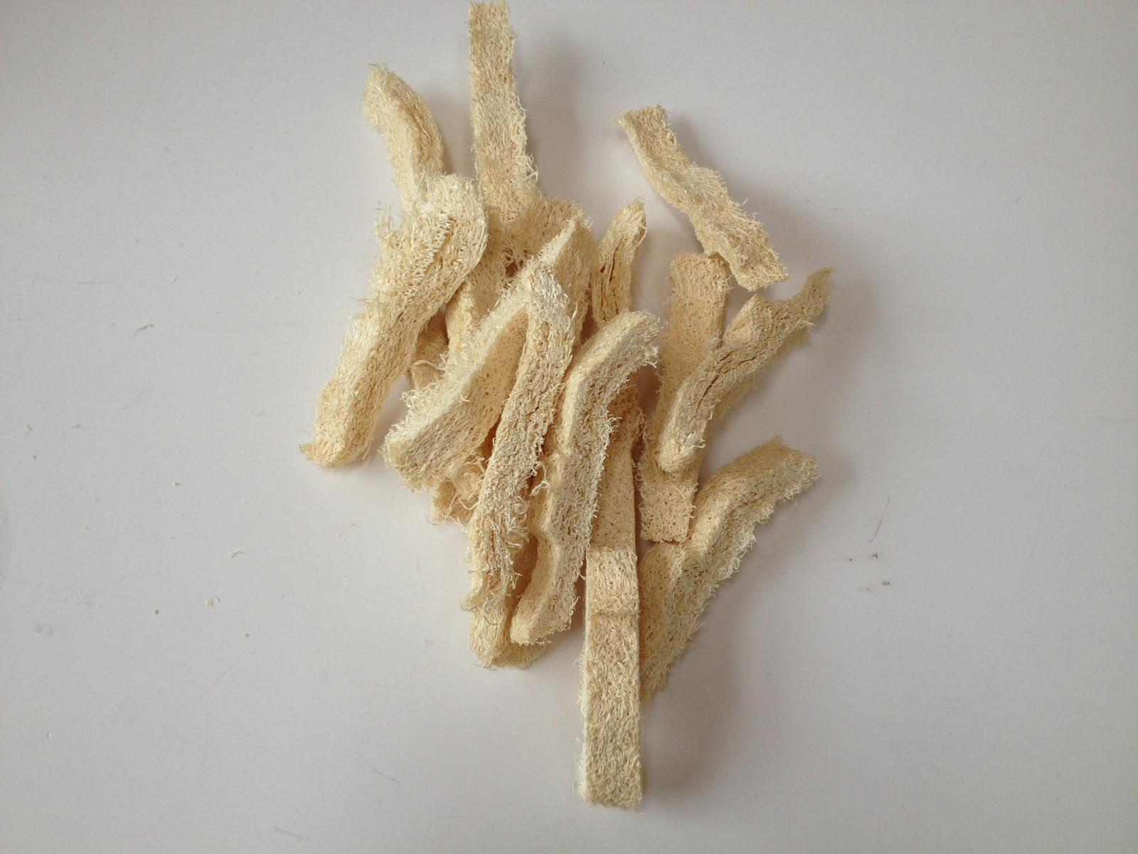 Luffa visual data 4