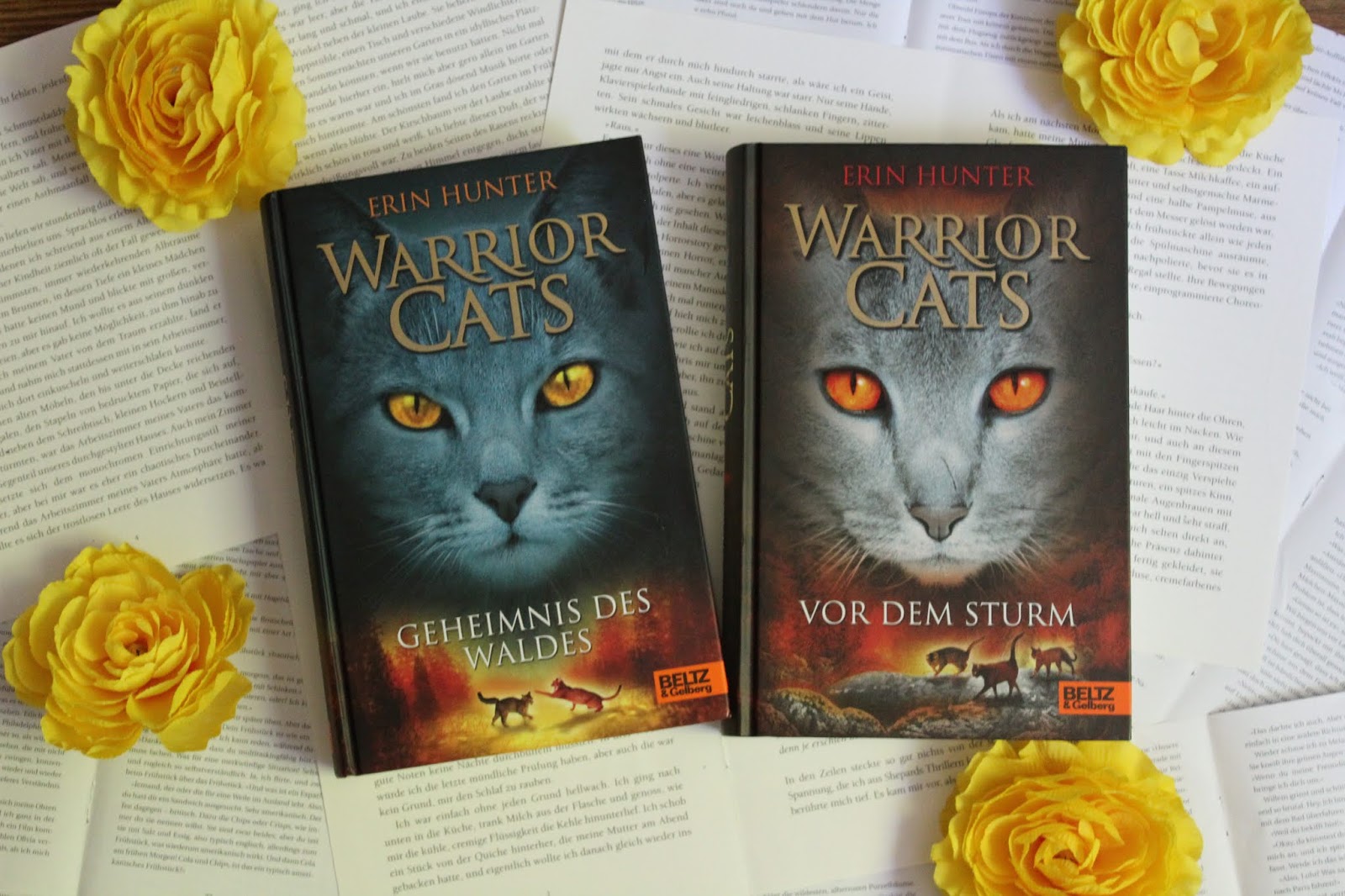 Warrior Cats Geheimnis Des Waldes Online Lesen buchtraeumerei.blogspot.com