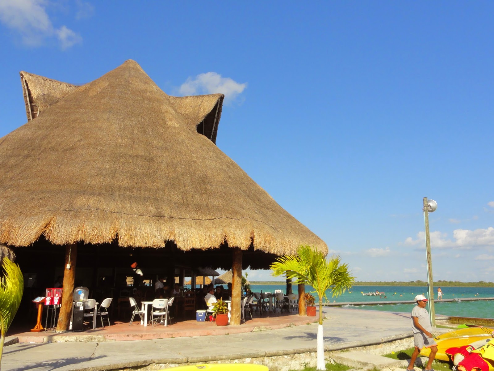 Salsa y Tacos Laguna Bacalar