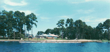 In The Boro News Video And Commentary Goose Pond Colony A