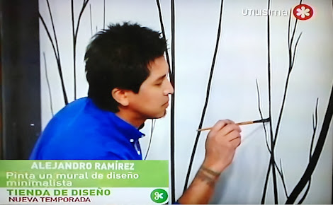 MURALES PARA PROGRAMA "TIENDA DE DISEÑO" CANAL FOXLIFE