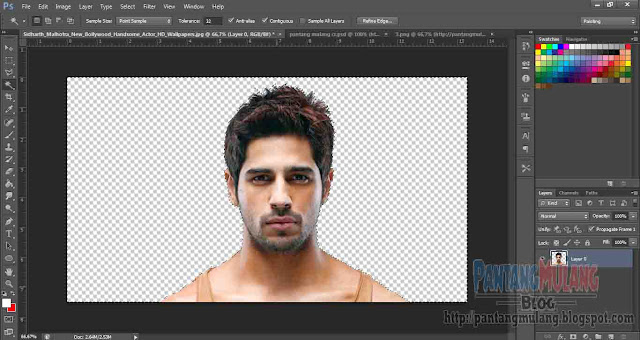 2 Cara Menghilangkan Background Foto di Photoshop 2 Cara Menghilangkan Background Foto di Photoshop