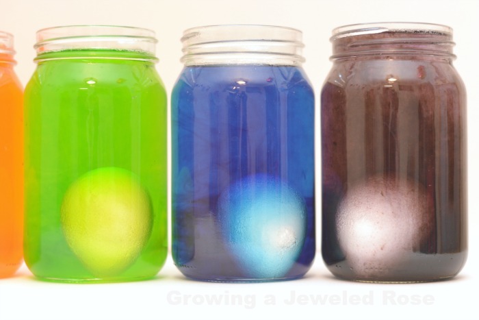 RAINBOW EGG EXPERIMENT: one of the coolest experiments we have ever tried! You won't believe the results! RAINBOW EGG EXPERIMENT: one of the coolest experiments we have ever tried! You won't believe the results!