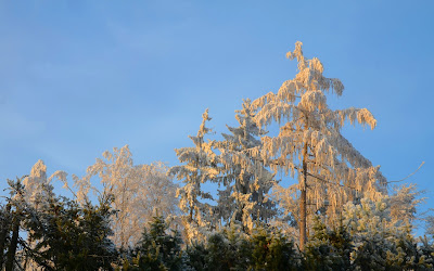 Winter, mùa đông, tél, dimër, zima, зима, 冬季, talv, talvi, Winter, mùa đông, tél, dimër, zima, зима, 冬季, talv, talvi, hiver, χειμώνας, inverno, ウィンター, ziema, žiema, iarnă, зима, vinter, zimné, invierno, zimní, kış, tél,