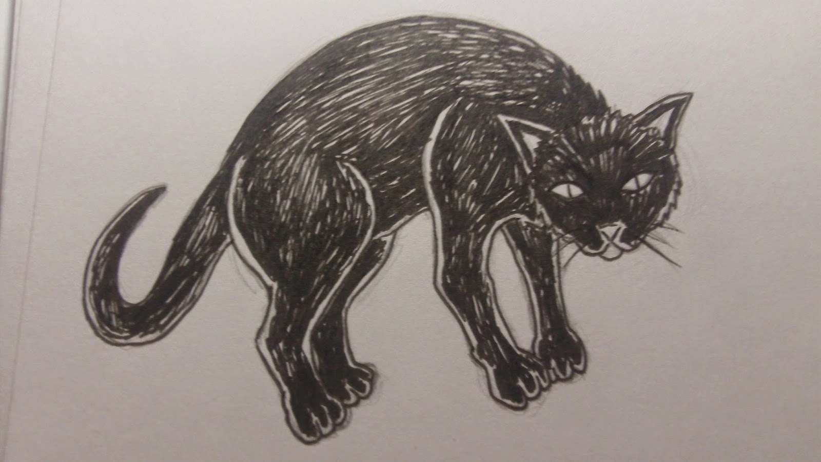 how to draw a black cat