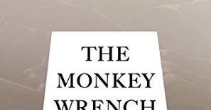 monkey wrench gang character analysis