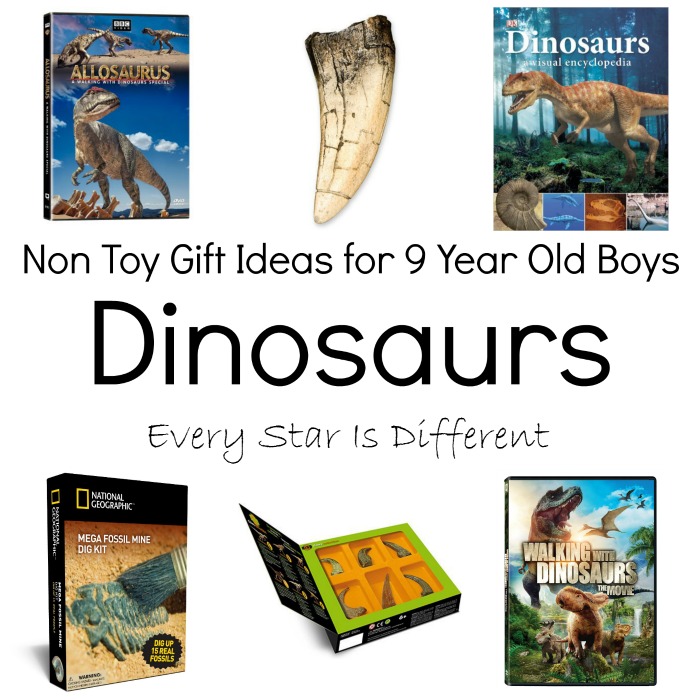 Non Toy Gift Ideas for 9 Year Old Boys - Every Star Is Different