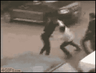 4.gif