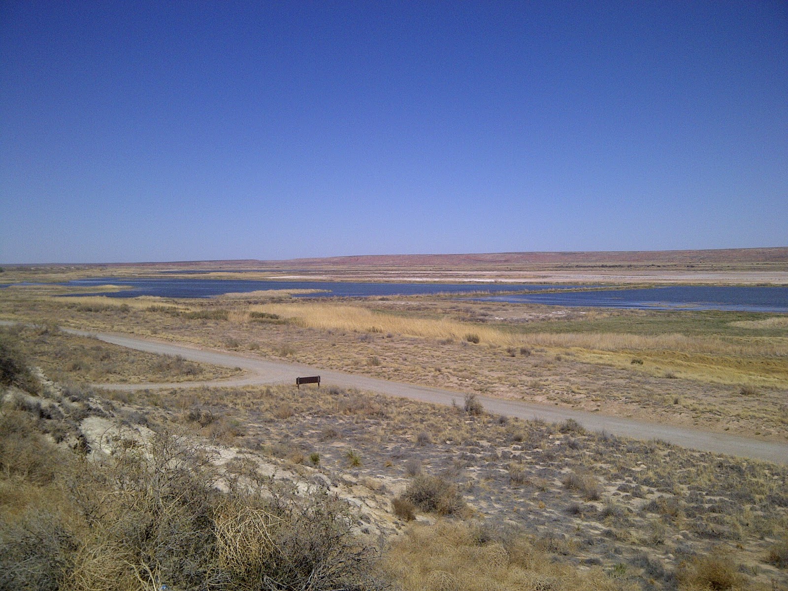 The Road Bitter Lake National Wildlife Refuge