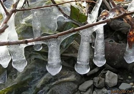 Cold Penis 3