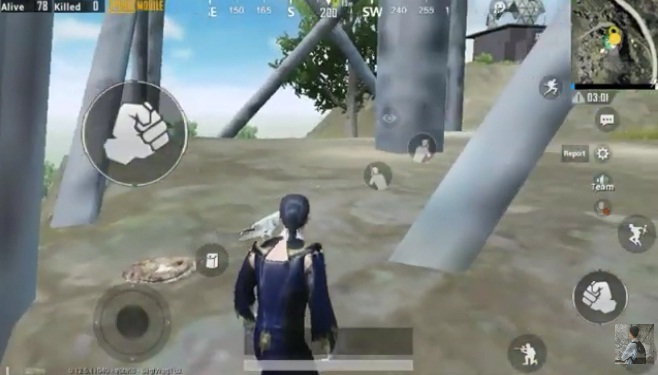 Fungsi Burung dan Cara Mendapatkan Burung di PUBG Mobile - diteknoin