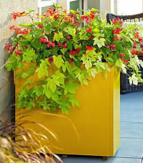 http://www.guiademanualidades.com/de-archivador-a-macetero-de-diseno-29404.htm