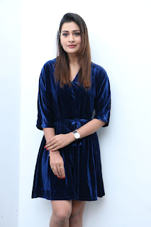 Actress Payal Rajput Stills at Disco Raja movie interview
