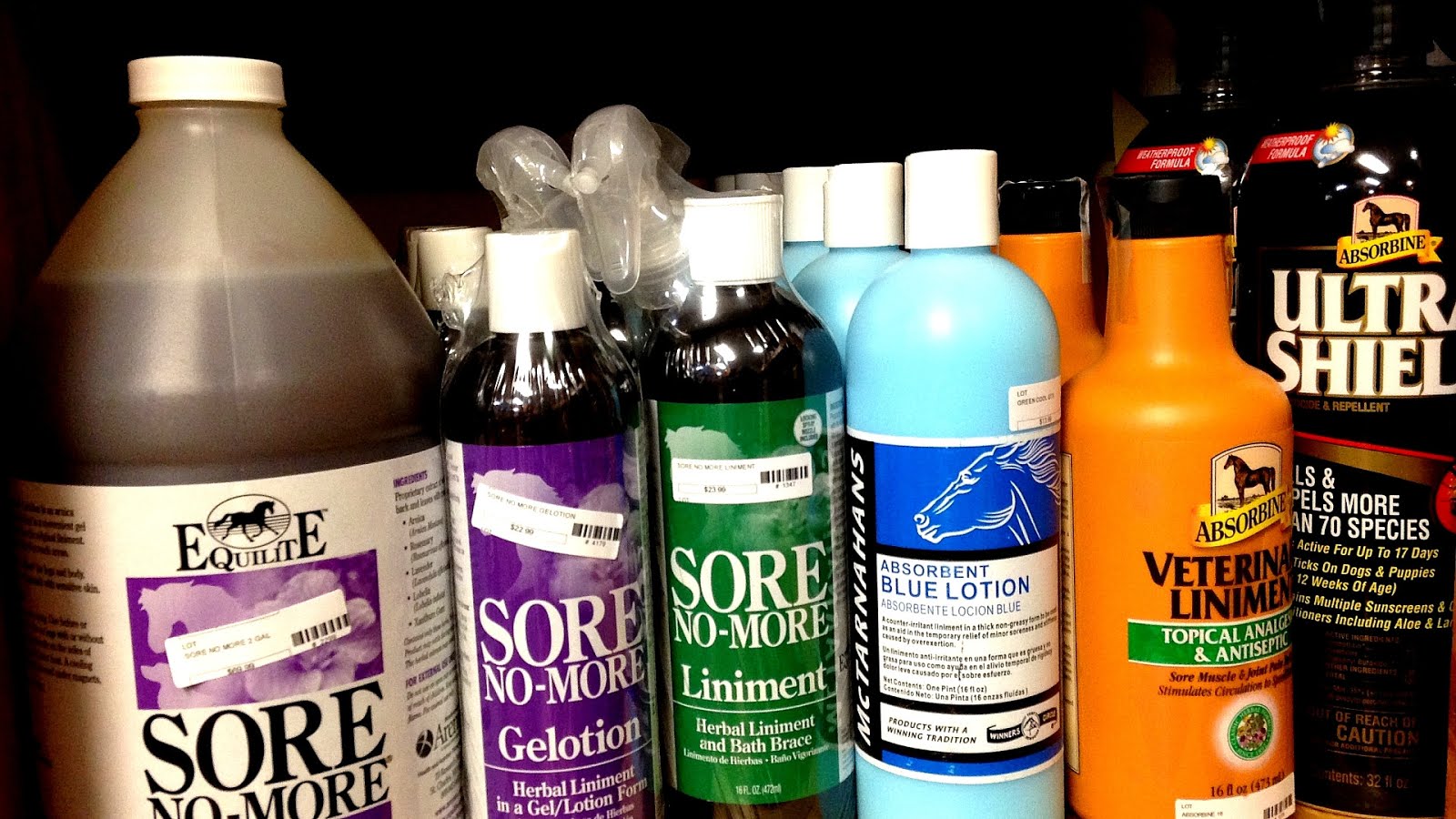 Homemade Liniment For Horses Horse Choices