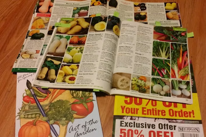 Time to Make Garden Plans