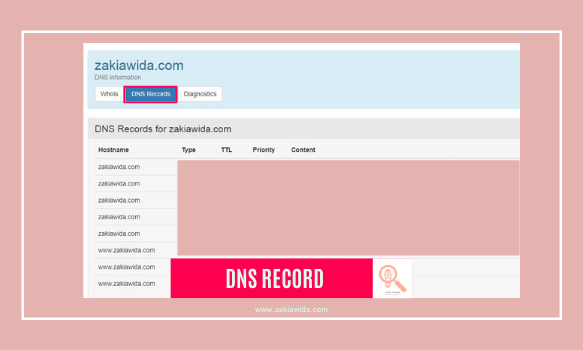 DNS record