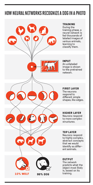 Layers to identify dog Deep Learning layers for dog
