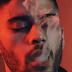 O garoto normal de 22 anos Zayn Malik está pronto para sua nova fase. Será que ele acerta novamente?