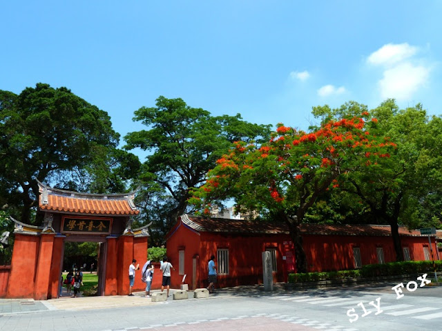 台南孔廟鳳凰木