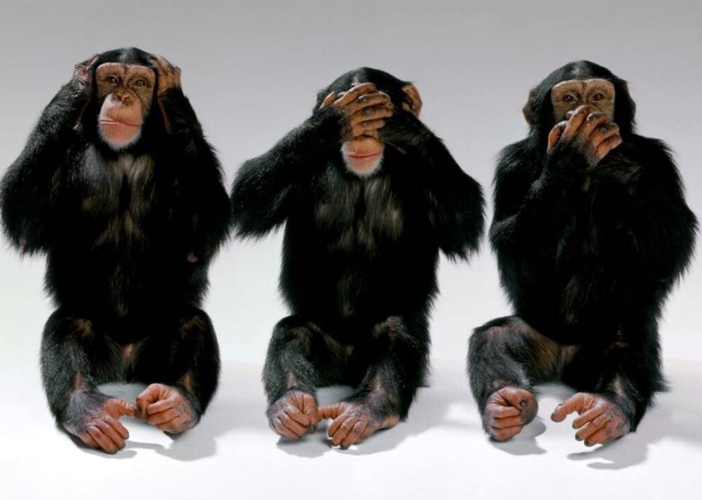 Three+Wise+Monkeys+Hear+No+Evil+See+No+E