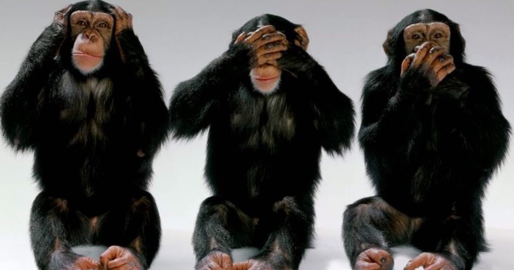 Body Language & Emotional Intelligence Nonverbal Communication