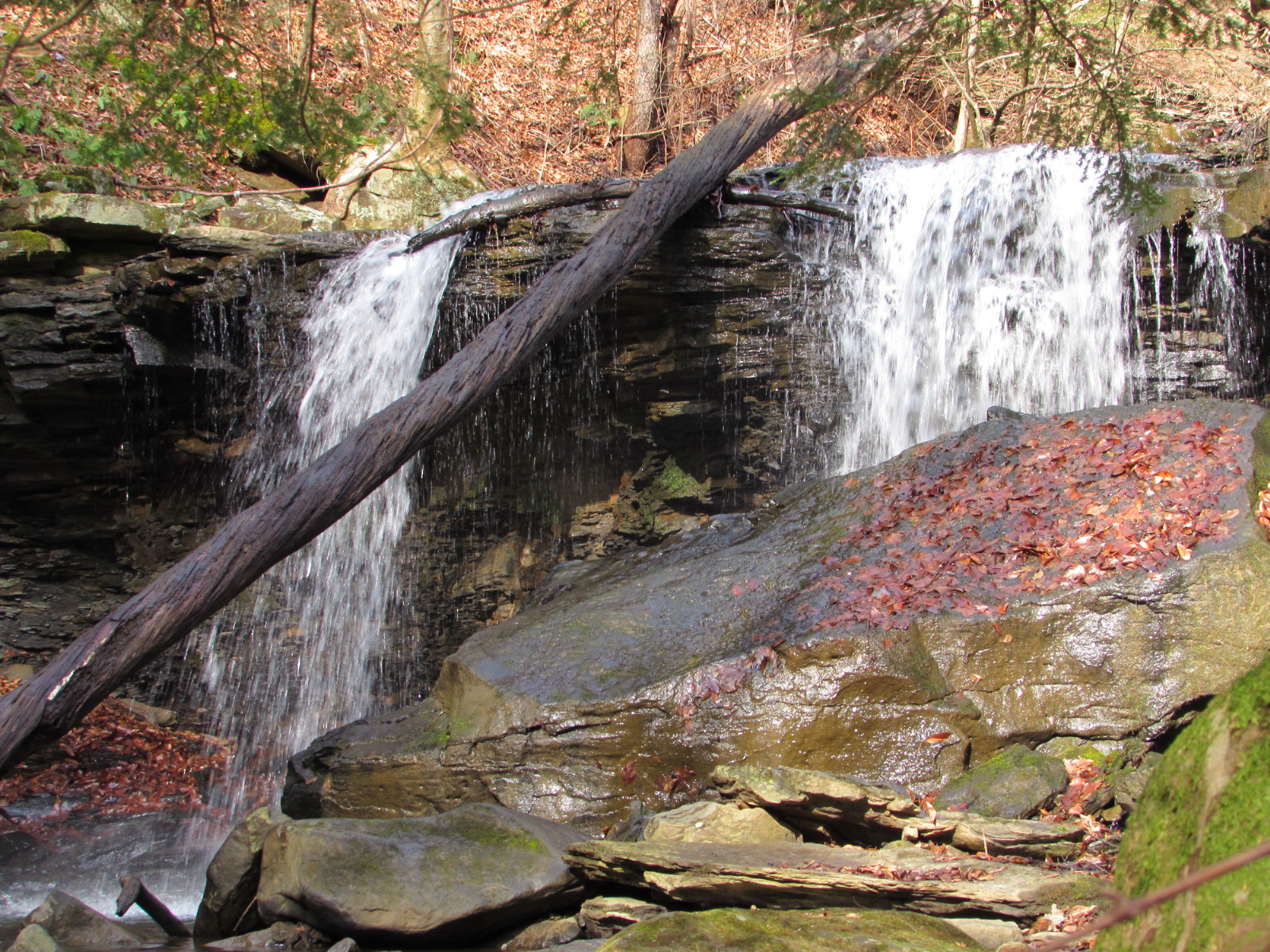 Roaring Run Natural Area, Apollo, PA Interesting Pennsylvania and Beyond