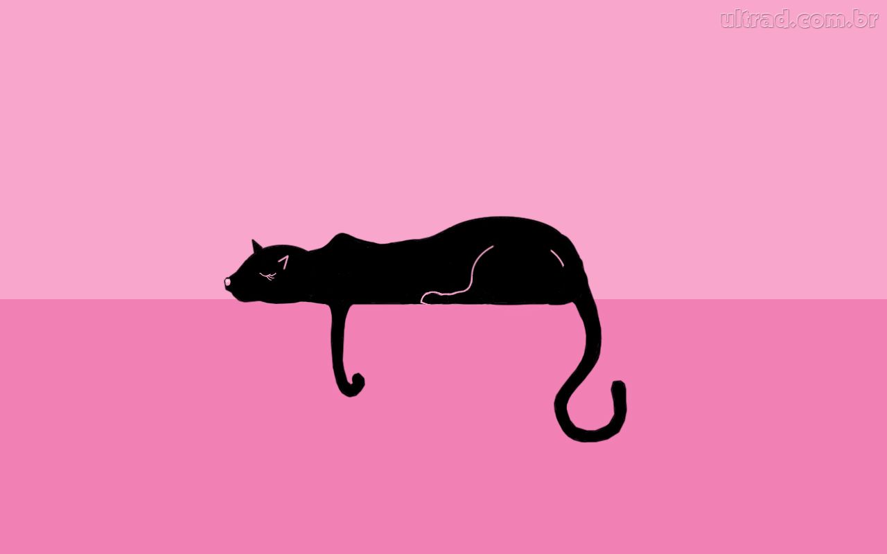 1080 x 1920 papel de parede gatos full hd 1080x1920 papéis de