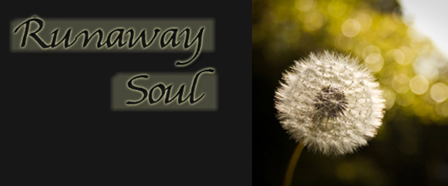 A Runaway Soul