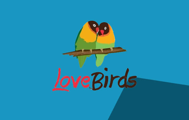Perbedaan Lovebird Jantan dan Betina dari Fisik Perbedaan Lovebird Jantan dan Betina dari Fisik