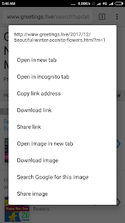 Image Options displayed on Google Chrome