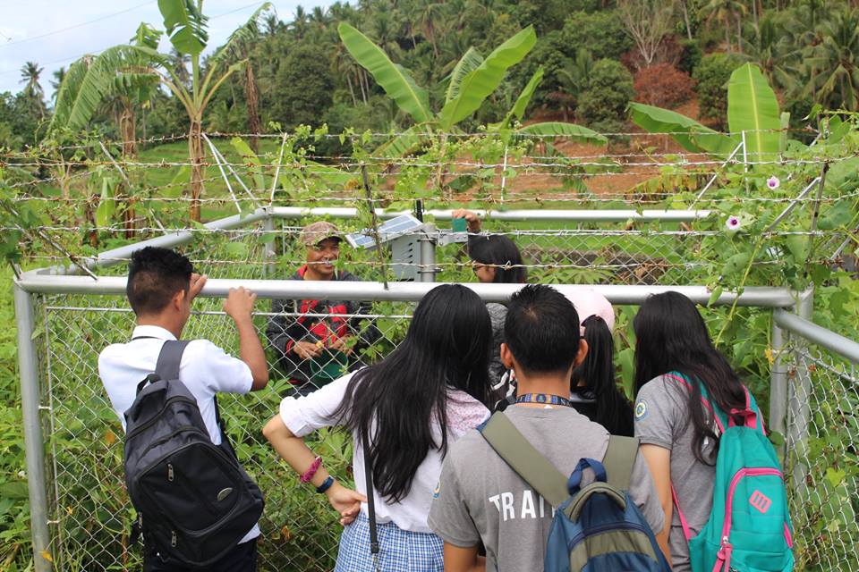 DOST Biliran PSTC Work Immersion in DOST A Journey through Science