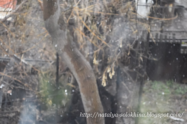 8 марта не отменили