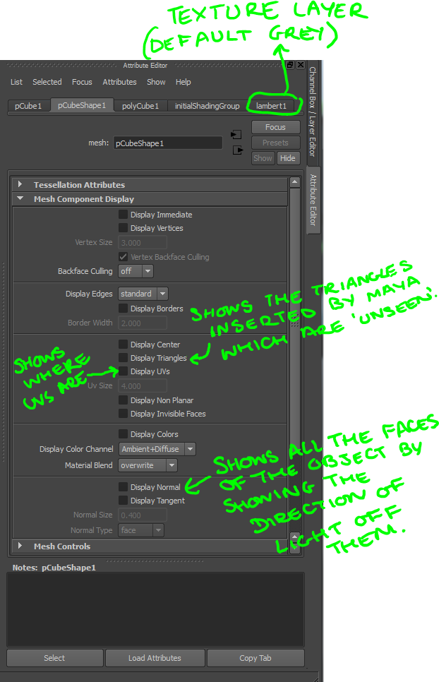 ROBIN SILCOCK Maya Modeling Tool Explanation 1