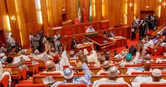 $462 million: Senate Surmouns CBN Governor and Finance Minister Kemi Adeosun