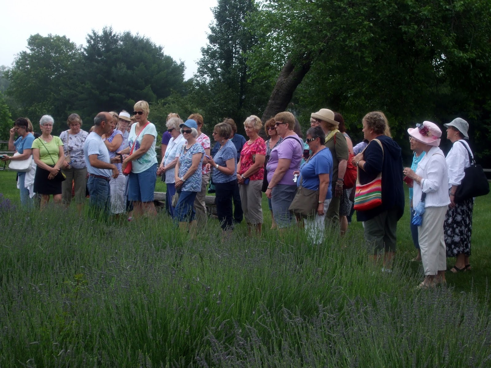Rosemary's Sampler Carousel Lavender Farm