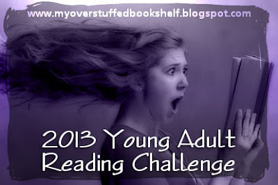 2013 Young Adult Reading Challenge