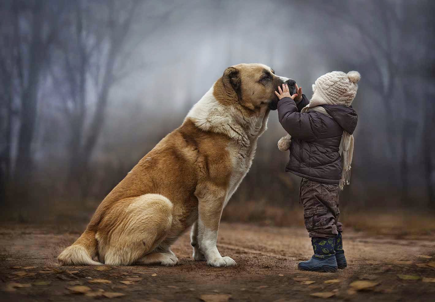 Amazing Child & Dog Love Wallpaper
