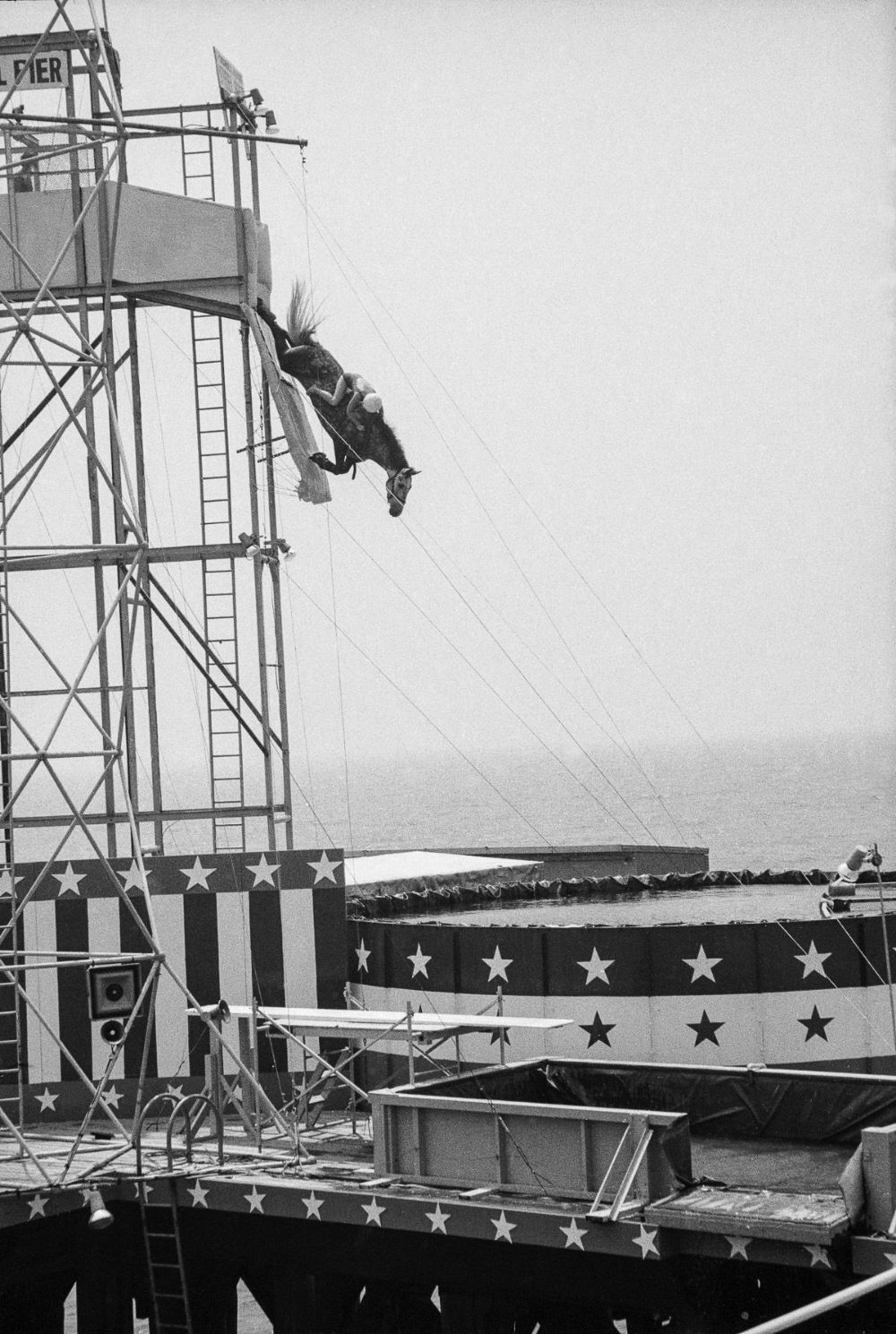 20 Incredible Vintage Photographs of Women Diving Horses in Atlantic City From the Early 20th